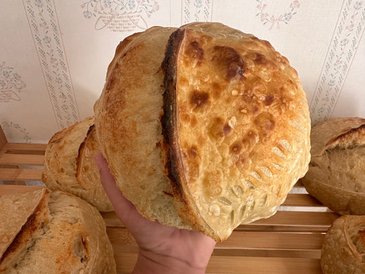 Best Beginner Sourdough Bread