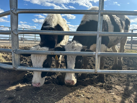 Why organic beef labels are complete BS